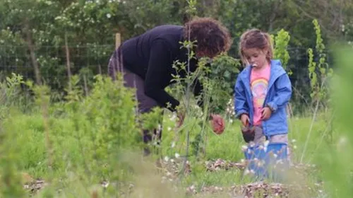 Nouvelle édition de la « forêt des enfants » de Dijon 